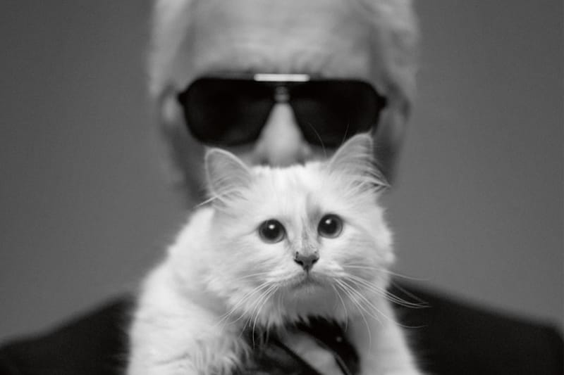 Karl Lagerfeld 價值 $2.37 億美元遺產或將由愛貓 Choupette 繼承