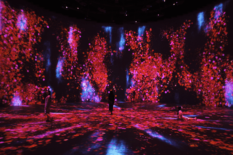 率先走進 teamLab 上海最新展覽「teamLab: 油罐中的水粒子世界」