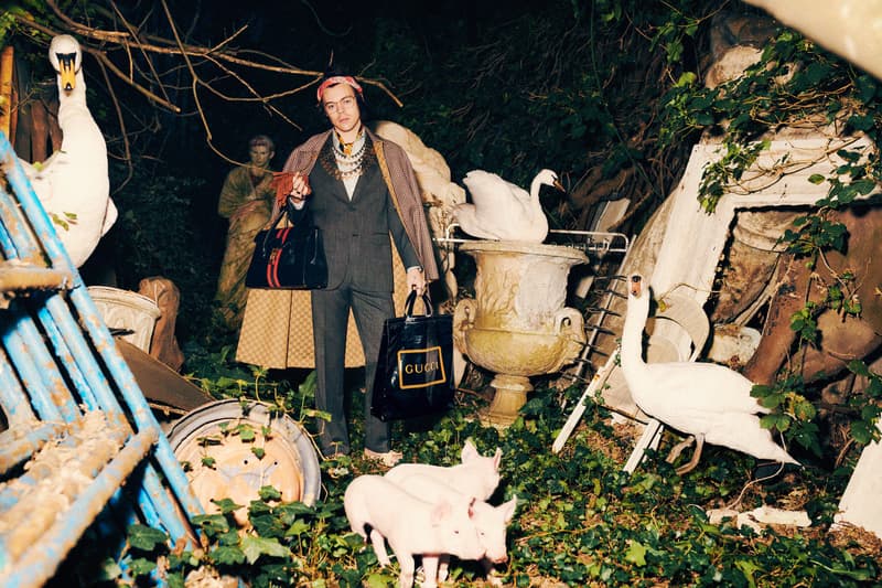 Harry Styles 演繹 Gucci 2019 早秋男士正裝系列廣告大片