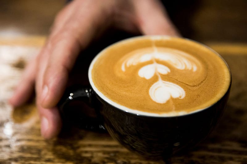 Elida Natural Geisha 803 拿鐵每杯要價 $75 美元