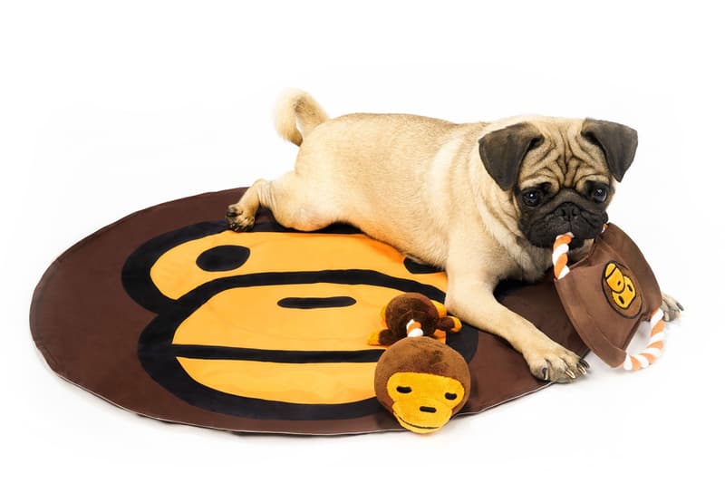 A BATHING APE® 推出 2019 春夏 Baby Milo 全新寵物配件系列