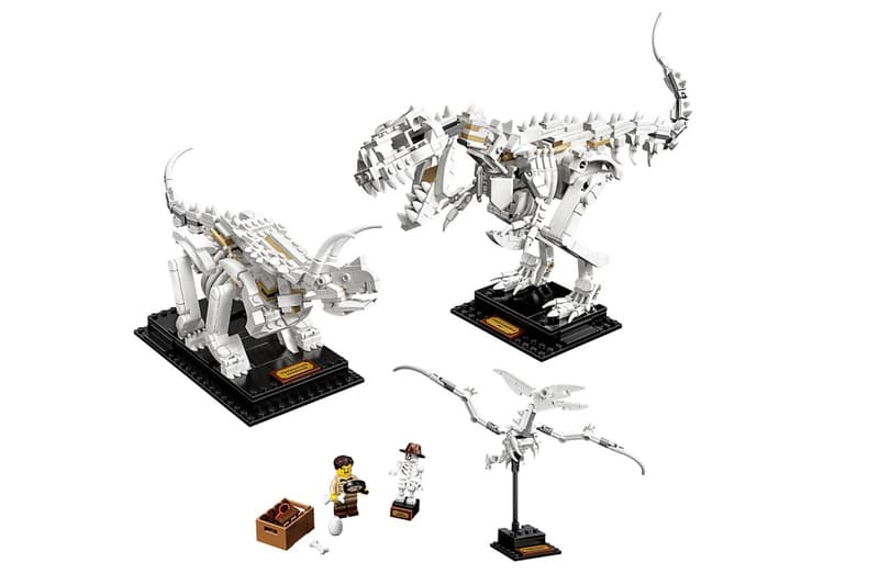 翻生侏羅館－LEGO 推出恐龍化石積木模型套裝