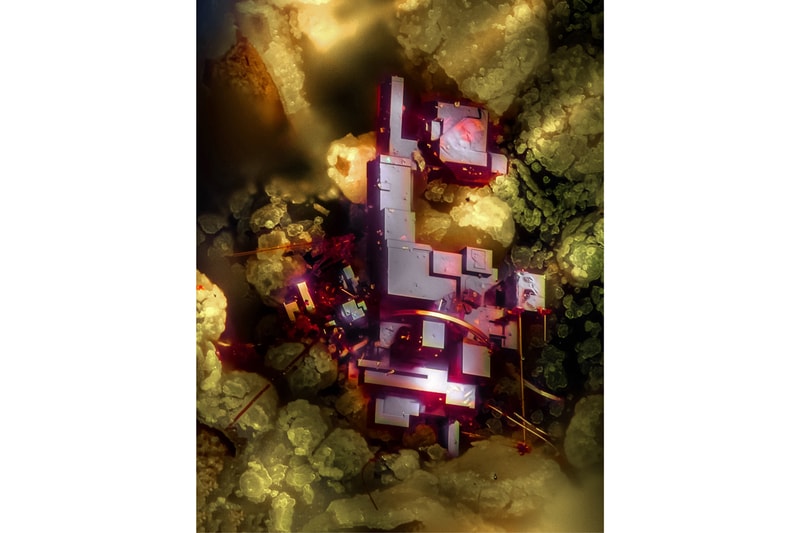 Nikon《Small World Photography Competition》顯微攝影大賽得獎作品正式公佈