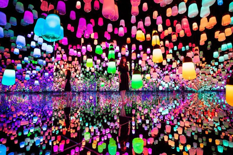 teamLab Borderless 上海站全新展览「呼應燈之森林」將正式開催