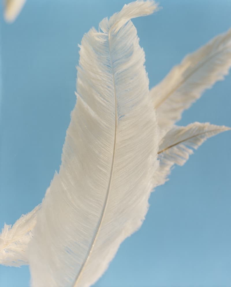 LOEWE 2020 春夏男裝系列 Lookbook《THE ODYSSEY》正式發佈