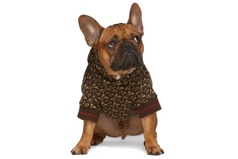 SSENSE 攜手 Burberry、Heron Preston 和 Versace 等品牌打造寵物配件系列