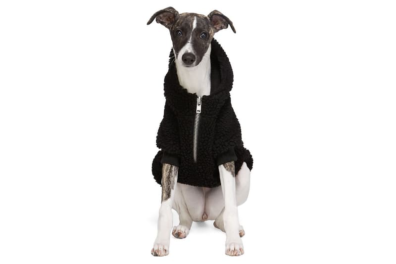 SSENSE 攜手 Burberry、Heron Preston 和 Versace 等品牌打造寵物配件系列