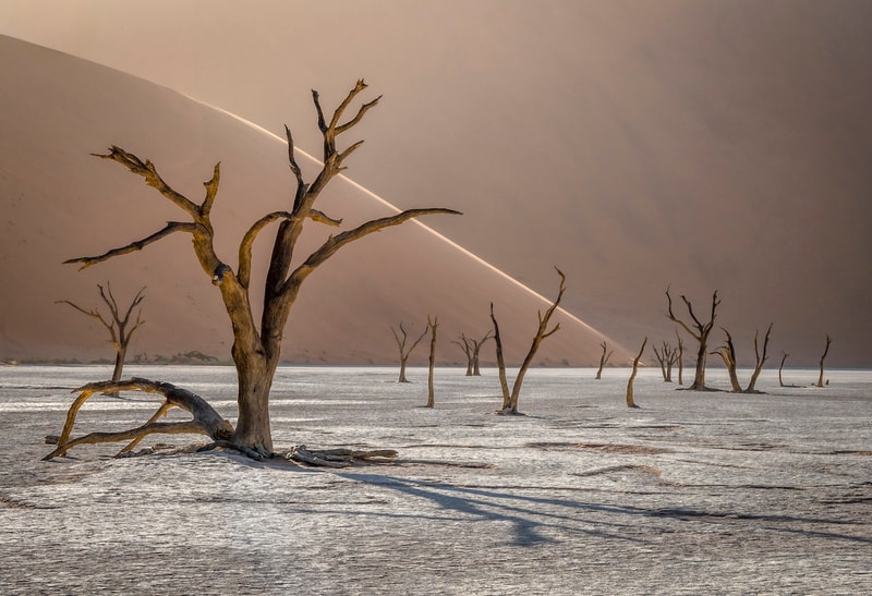 2019 International Landscape  Photographer of the Year 攝影大獎作品正式發佈