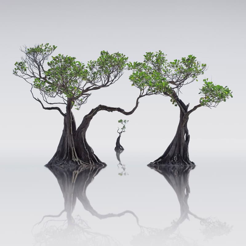 2019 International Landscape  Photographer of the Year 攝影大獎作品正式發佈