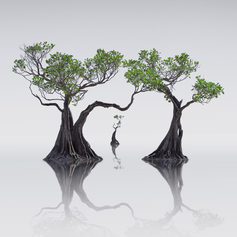 2019 International Landscape  Photographer of the Year 攝影大獎作品正式發佈