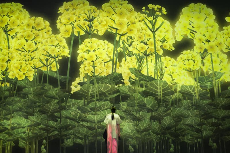 率先走進 teamLab 全新藝展《FUTURE WORLD: Where Art Meets Science》