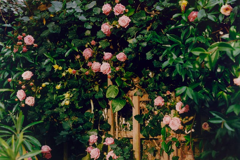 UNIQLO and JW ANDERSON 2020 春夏系列完整造型錄