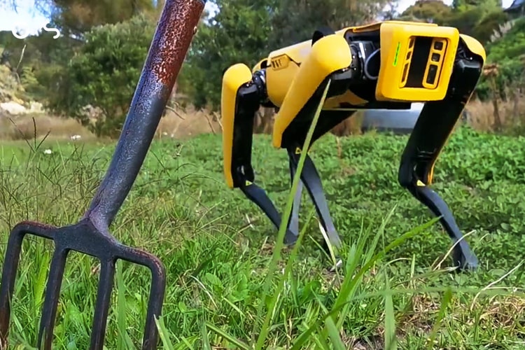 紐西蘭農場將 Boston Dynamics 機械犬「Spot」作為「全自動化牧羊犬」