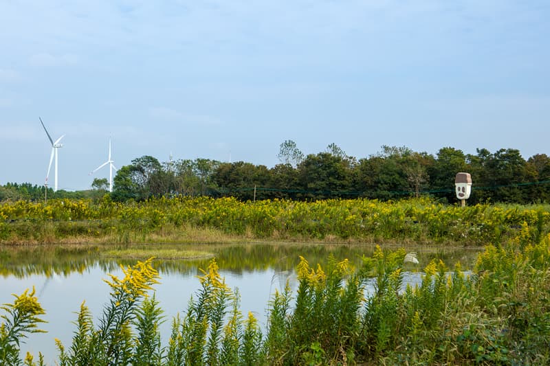 iag《野蛮院线》艺术群展即将正式揭幕