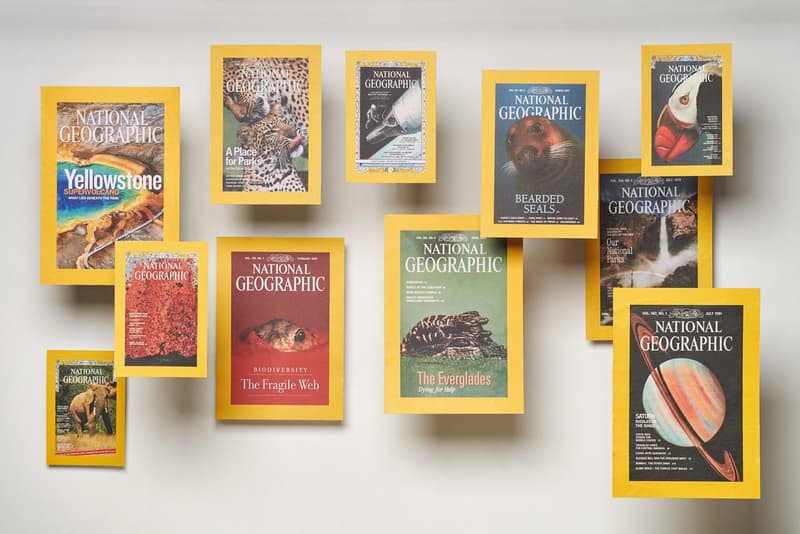 Vans 携手 National Geographic 推出探索故事联名鞋款系列