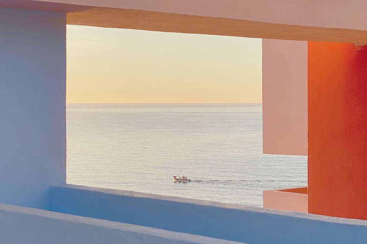 2020 年 IPPA 摄影奖的得奖名单正式公布