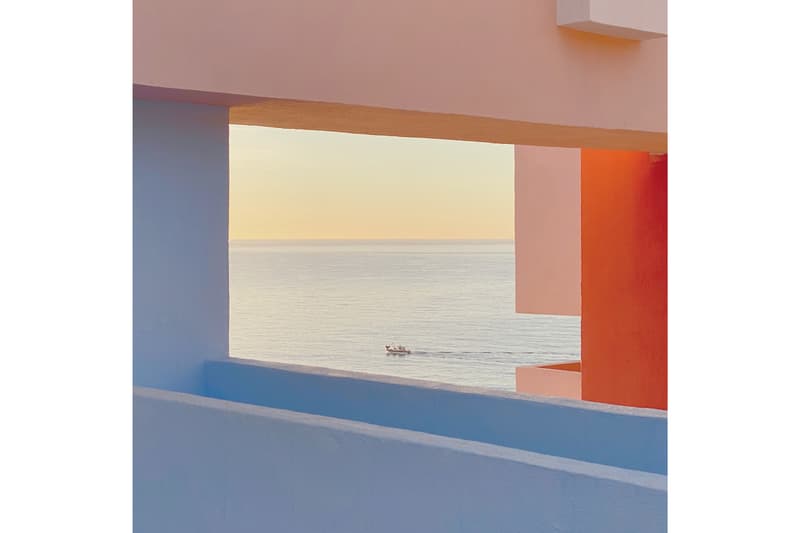 2020 年 IPPA 摄影奖的得奖名单正式公布