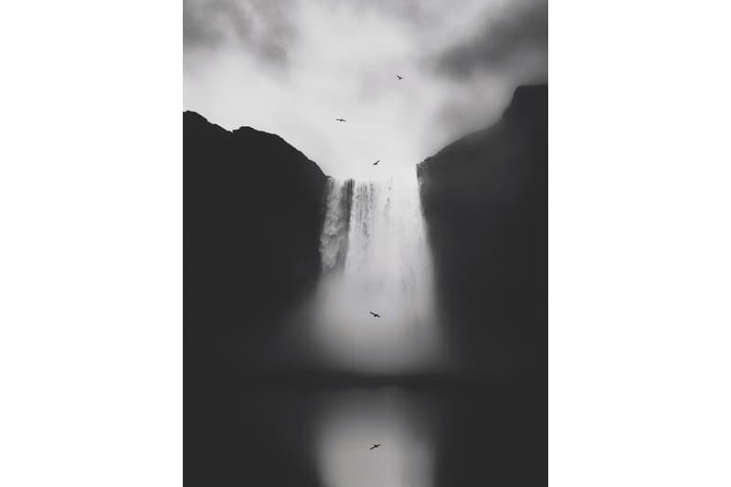 2020 年 IPPA 摄影奖的得奖名单正式公布