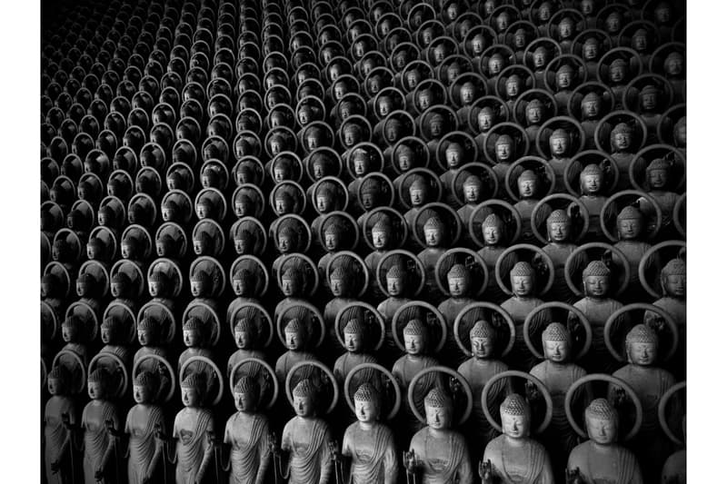 2020 年 IPPA 摄影奖的得奖名单正式公布