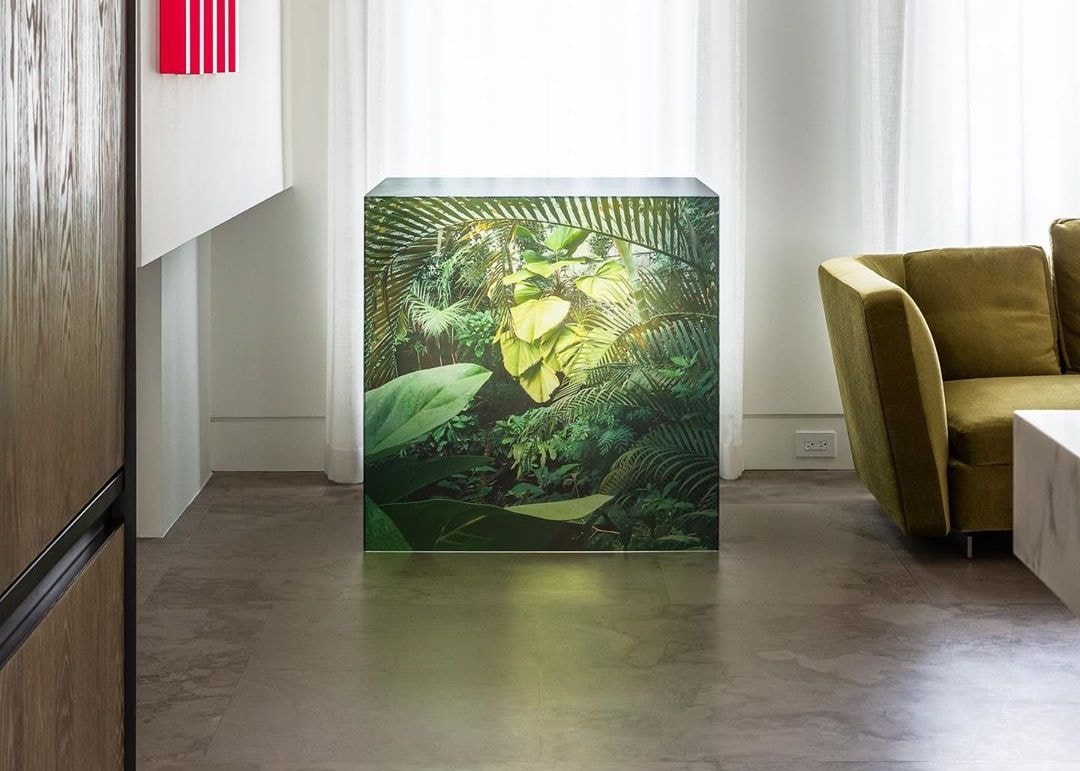 從塊根、竹芋到龜背竹,潮流人士與植物專家的居家植物推薦及養護指南