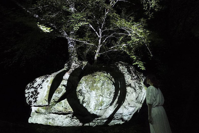 率先走進 teamLab 全新年度光影藝展「A Forest Where Gods Live」