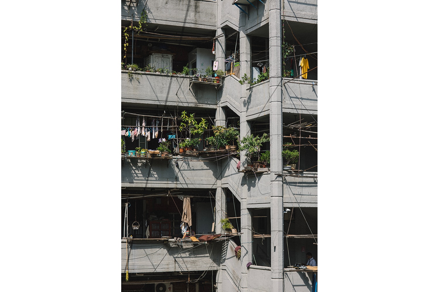 7 條上海騎行路線以及上海城市騎行文化興起回顧