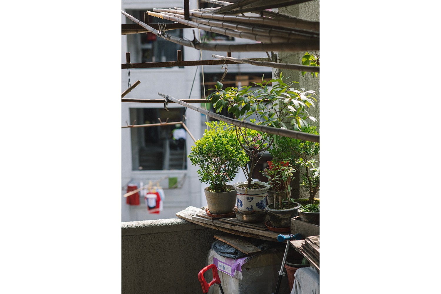 7 條上海騎行路線以及上海城市騎行文化興起回顧