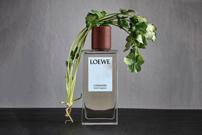 LOEWE 家居香氛系列推出全新「香菜」味調