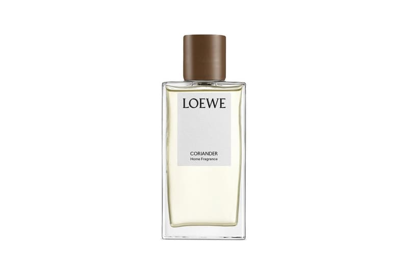 LOEWE 家居香氛系列推出全新「香菜」味調