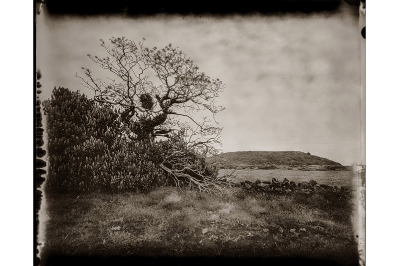 Leica 攝影大賽 Leica Oskar Barnack 獲獎作品正式公佈