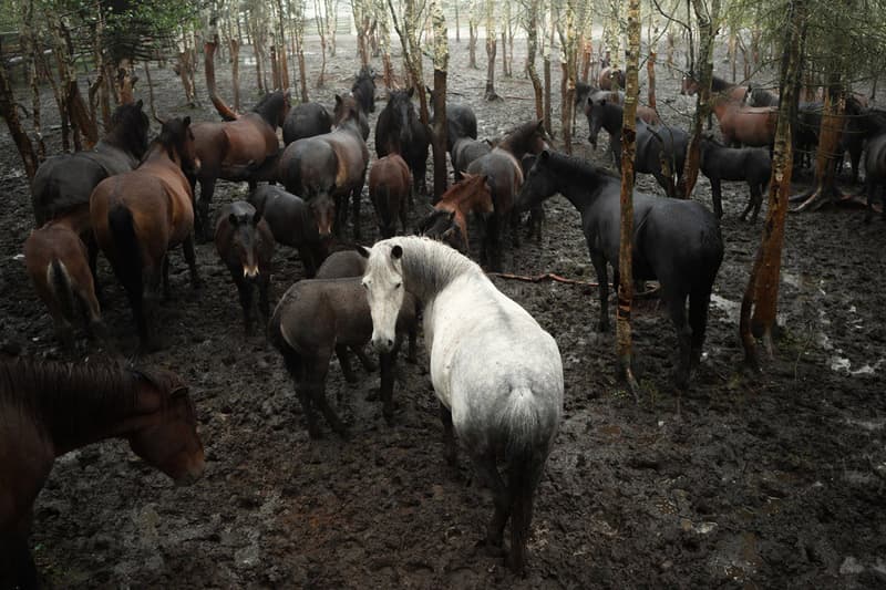 Leica 攝影大賽 Leica Oskar Barnack 獲獎作品正式公佈