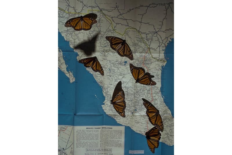 Leica 攝影大賽 Leica Oskar Barnack 獲獎作品正式公佈