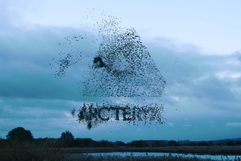 Palace Skateboards x Arc’teryx 全新聯乘系列正式發佈