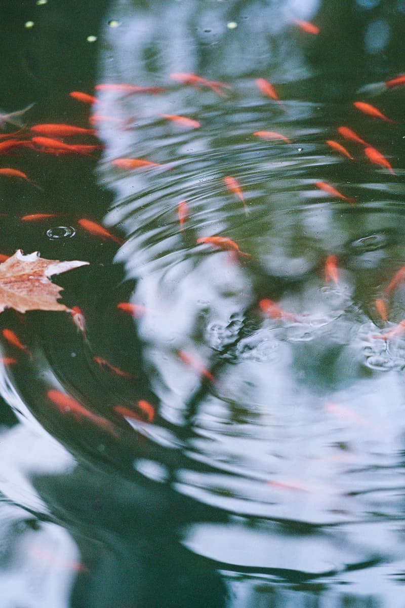 DOE 正式发布 2021 春夏系列 Lookbook