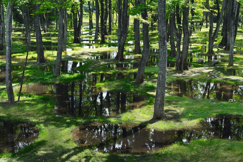 Phaidon 出版全新書刊《Radical Architecture of the Future》