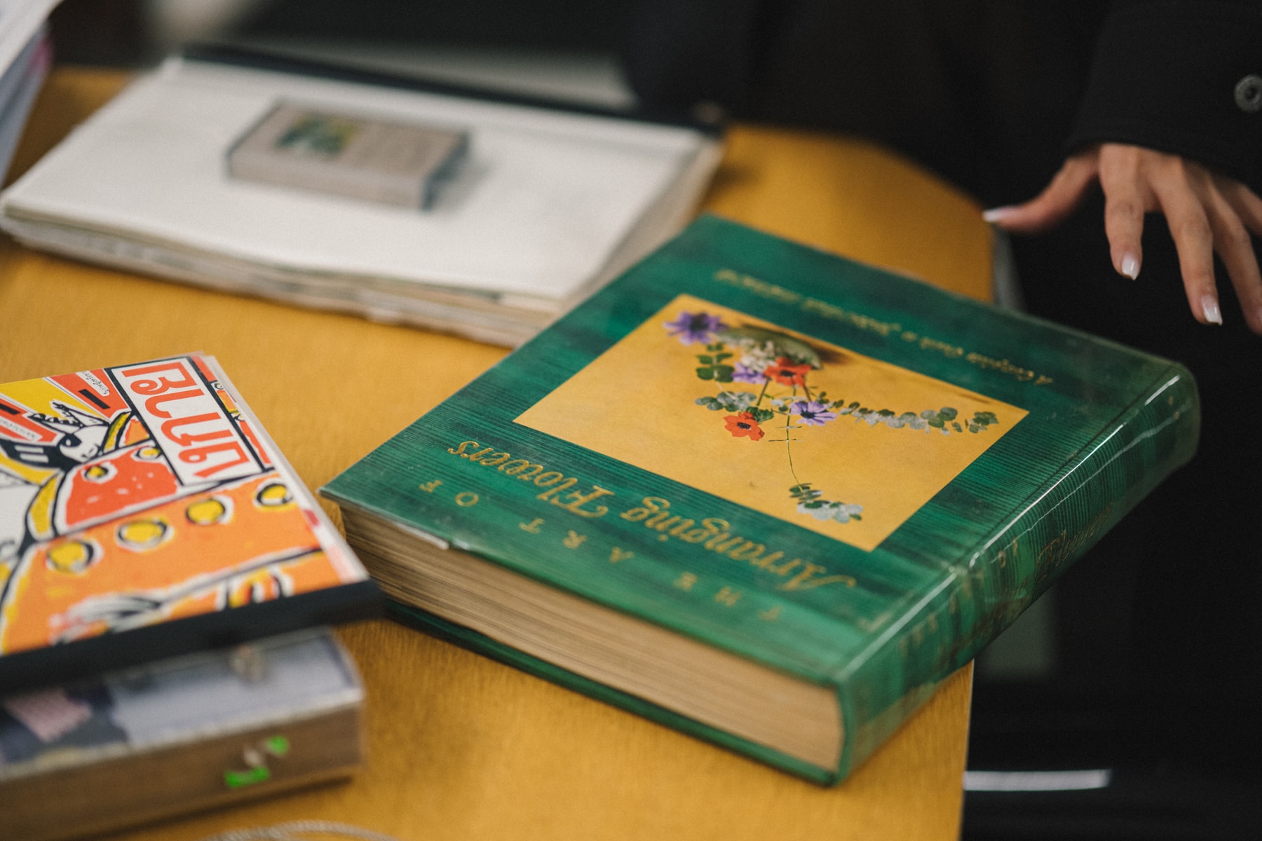 Studio Visits:FENG CHEN WANG