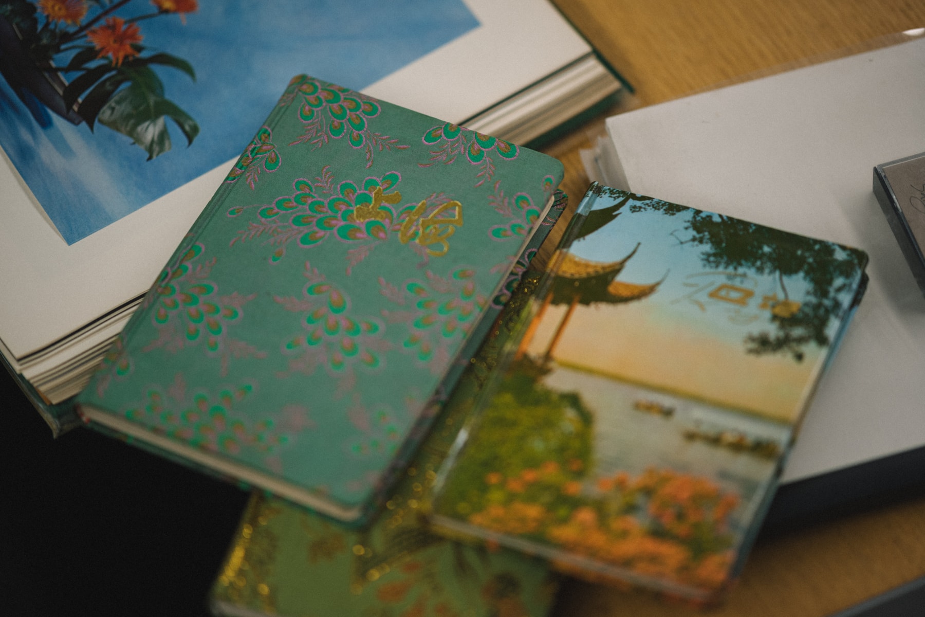 Studio Visits:FENG CHEN WANG