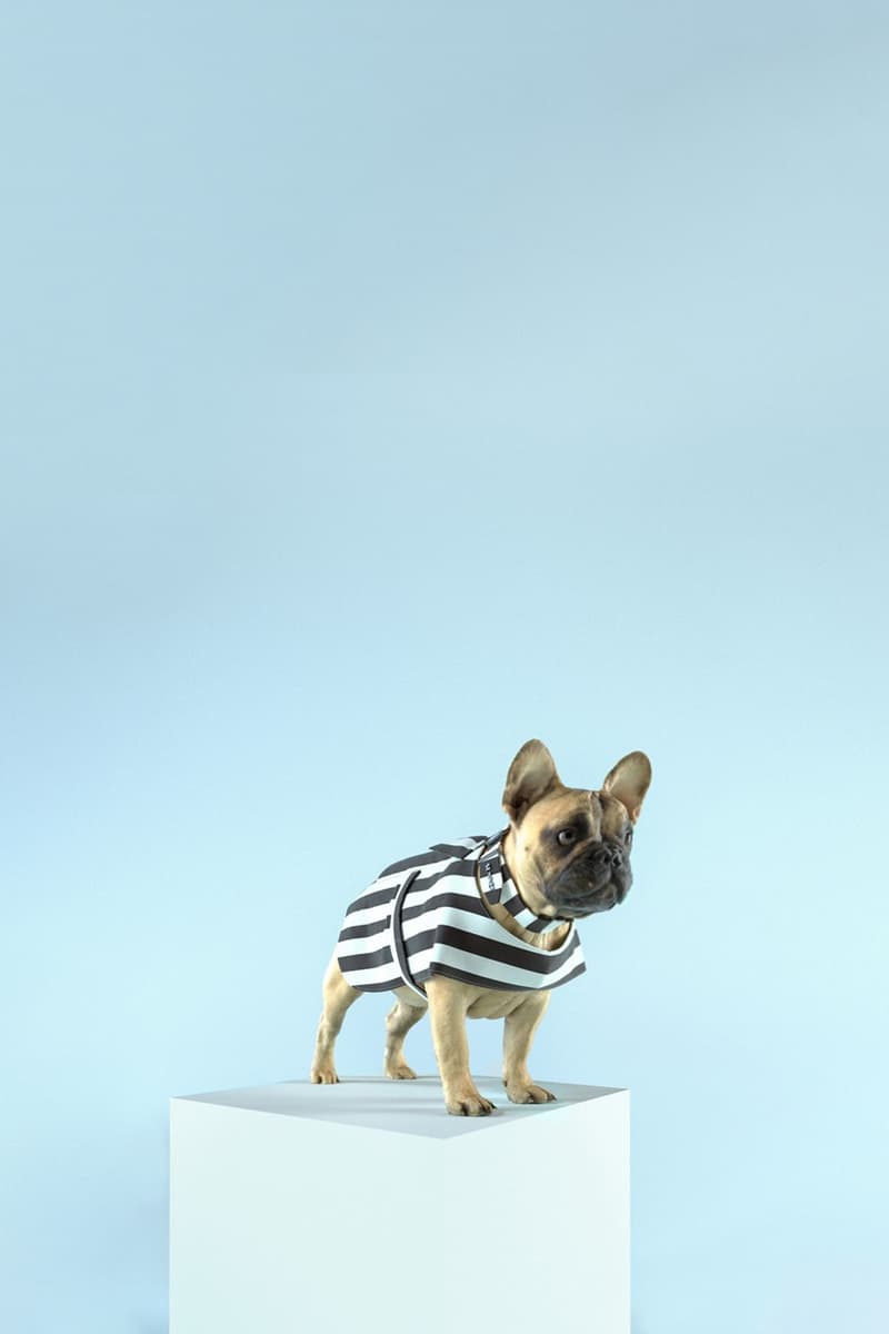 SUNNEI Canvas 2021 春夏系列正式登場