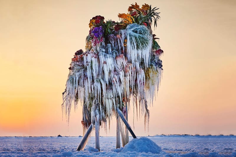 知名花卉藝術家 Azuma Makoto 打造全新作品《Frozen Flowers》