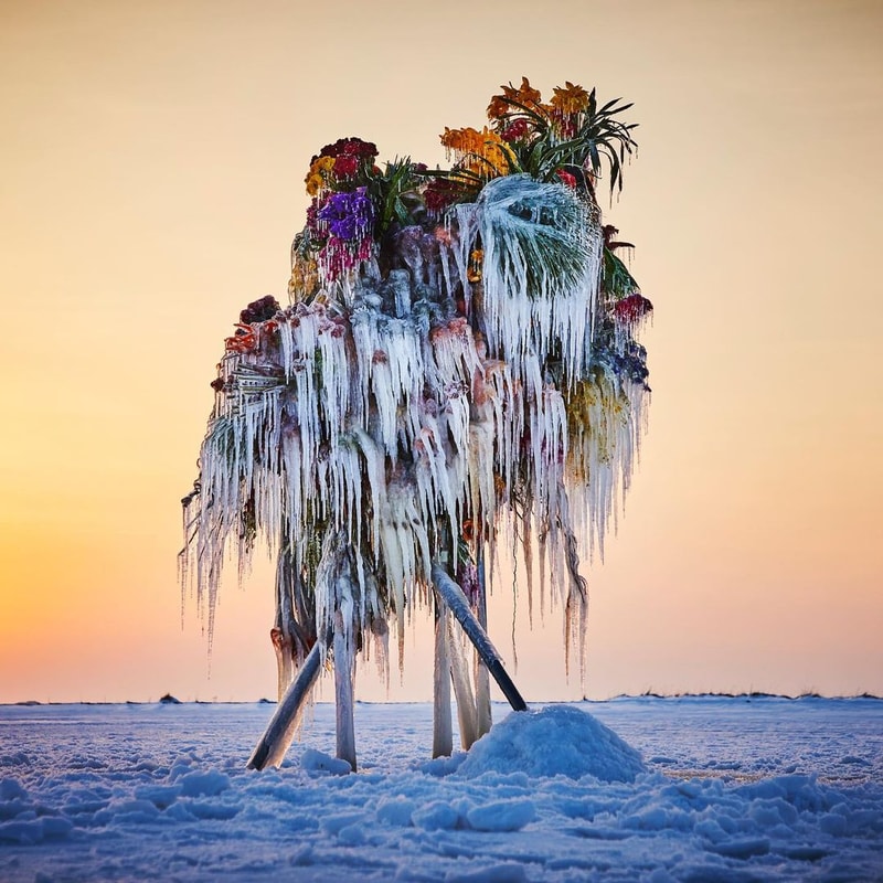 知名花卉藝術家 Azuma Makoto 打造全新作品《Frozen Flowers》