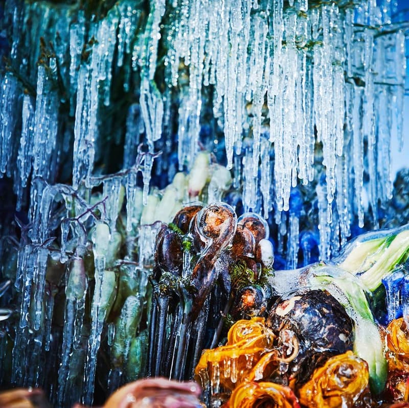 知名花卉藝術家 Azuma Makoto 打造全新作品《Frozen Flowers》