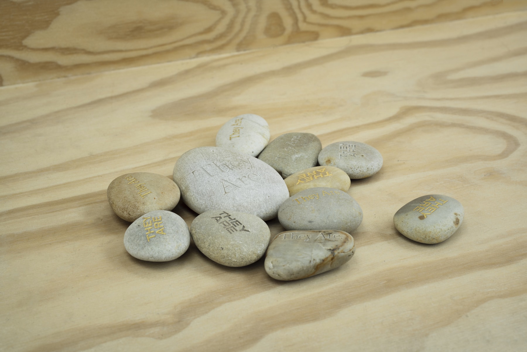 Studio Visits : 苏五口 Suwukou