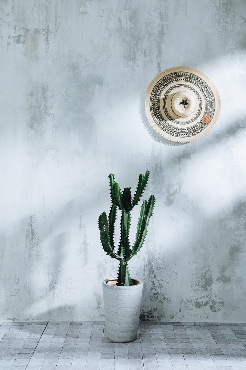 SYNDRO 2021 春夏系列「Rhythm of the South」正式登場