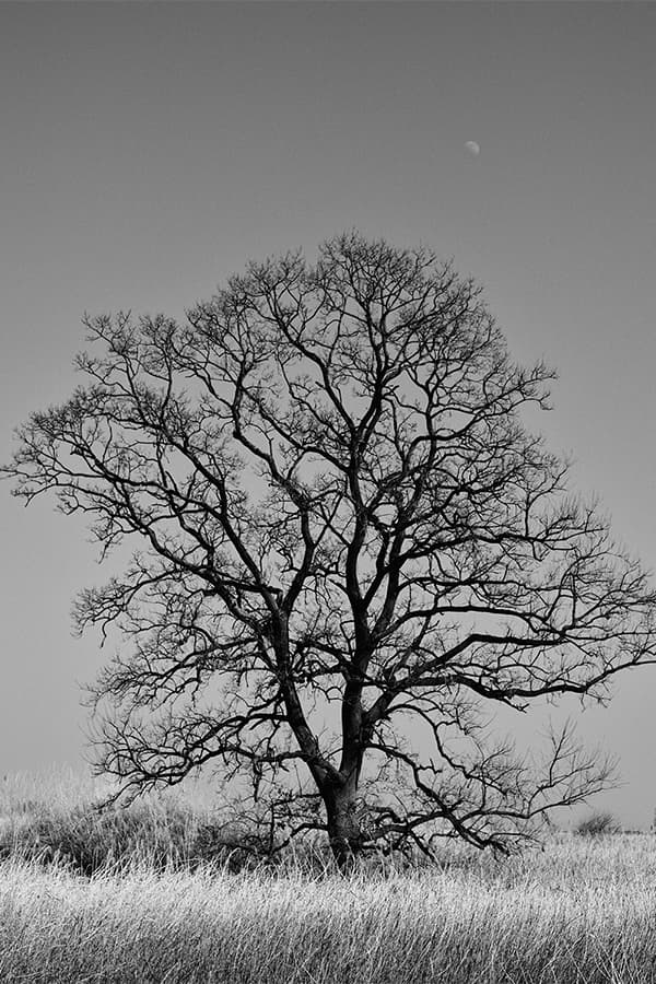 Trove 2021 春夏系列 Lookbook 正式發佈