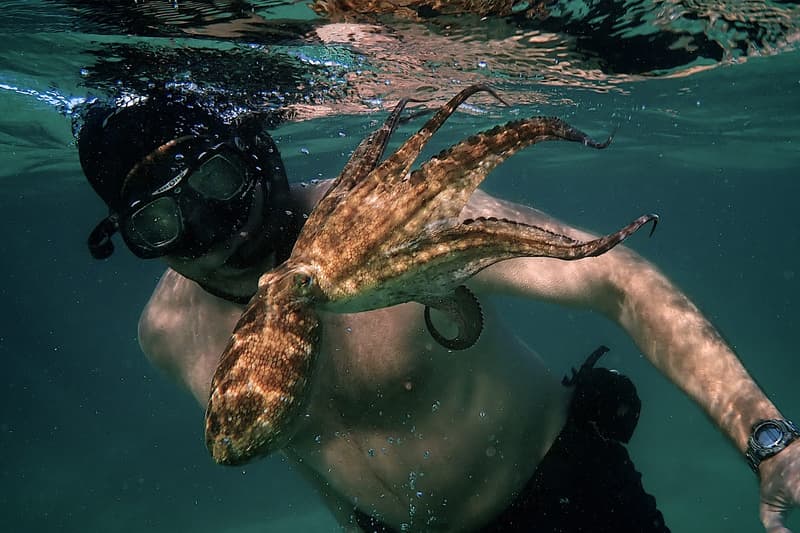 第 93 屆 Oscars 奧斯卡 2020 完整得獎名單