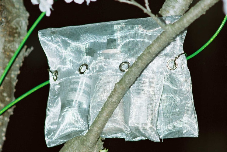 各地艺术家制作专属 Aesop 联乘 RÆBURN 收纳袋