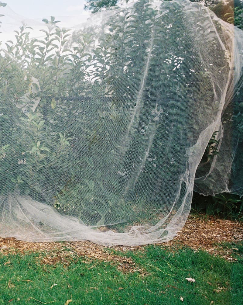 Polar Skate Co 2021 全新春季系列登場