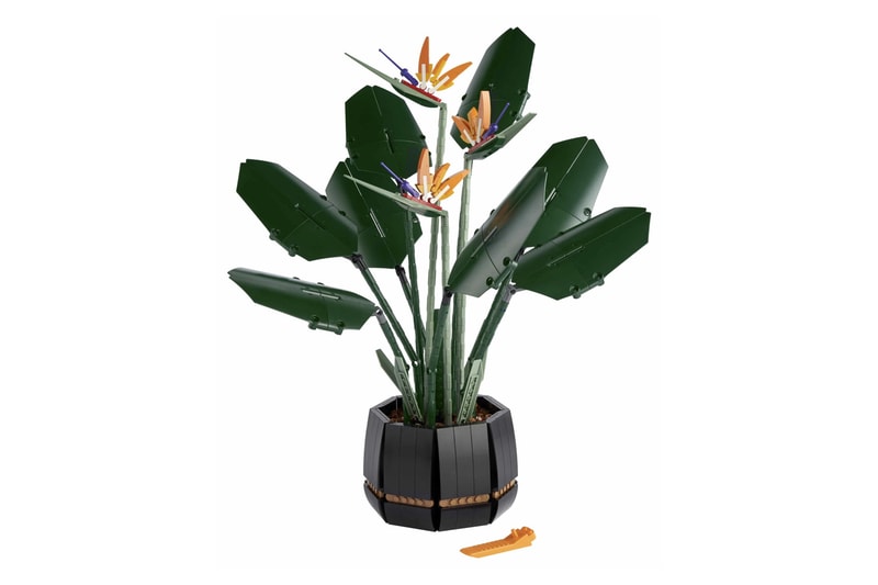LEGO 全新花卉植栽系列「天堂鳥 Birds of Paradise」正式登場