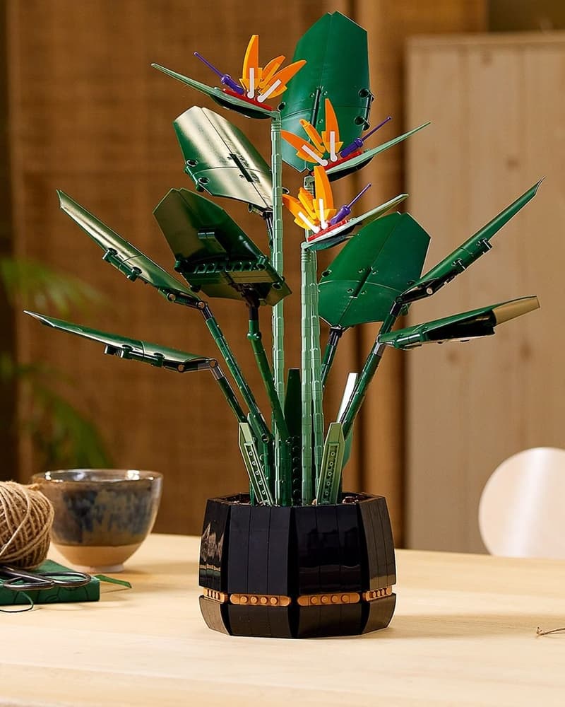 LEGO 全新花卉植栽系列「天堂鳥 Birds of Paradise」正式登場
