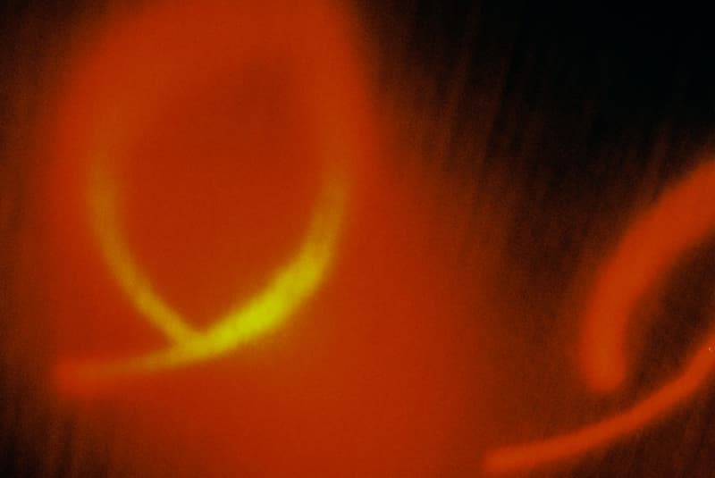 PLATEAU STUDIO X Alien Wang 聯手推出《荼蘼》形象攝影作品